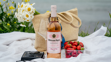 Какие напитки пить в разные времена года?